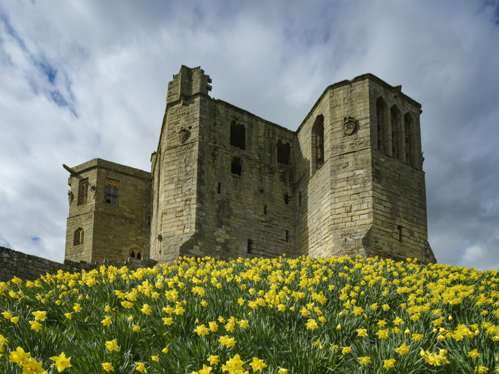 England, Northumberland, Warkworth Castle.