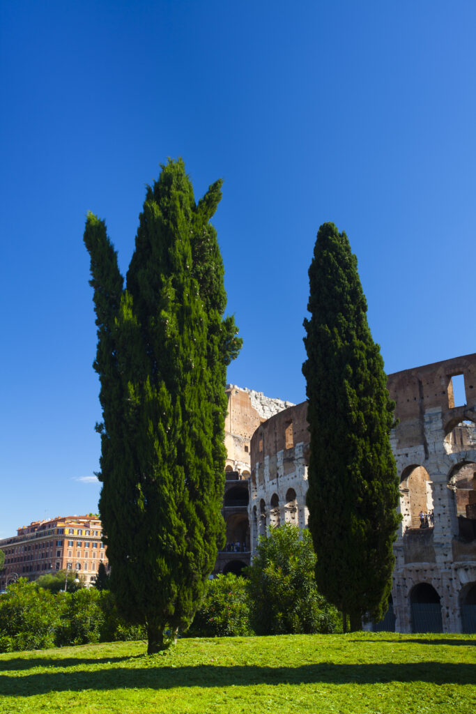 Italy, Lazio, Rome.