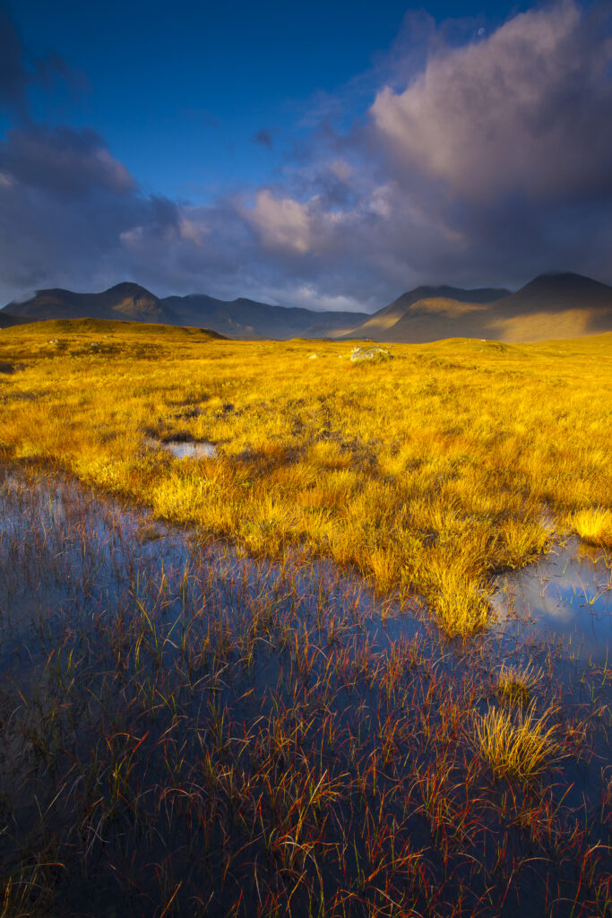 Scotland, Scottish Highlands, Rannoch Moor.