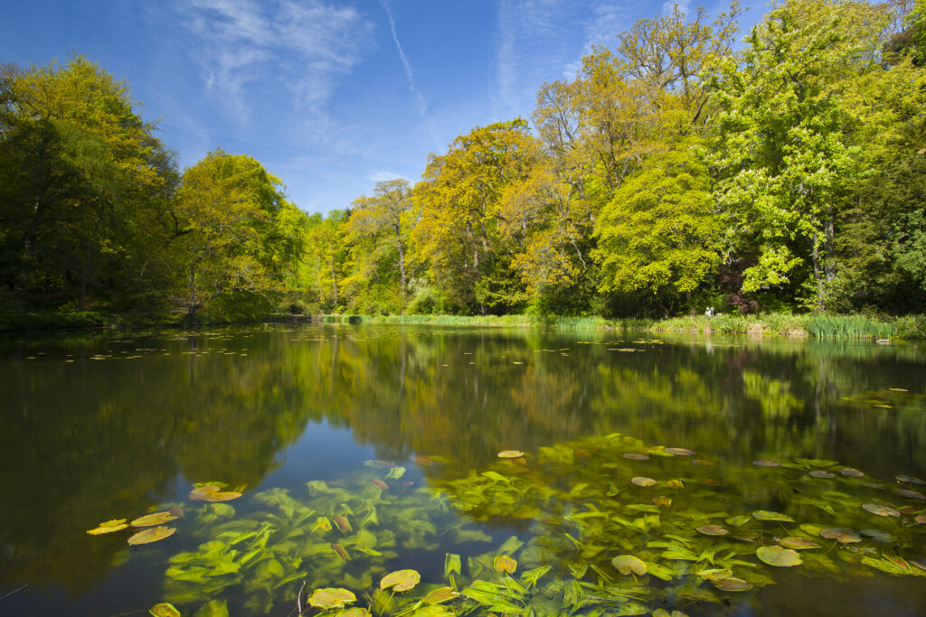 England. Northumberland, Wallington Hall.