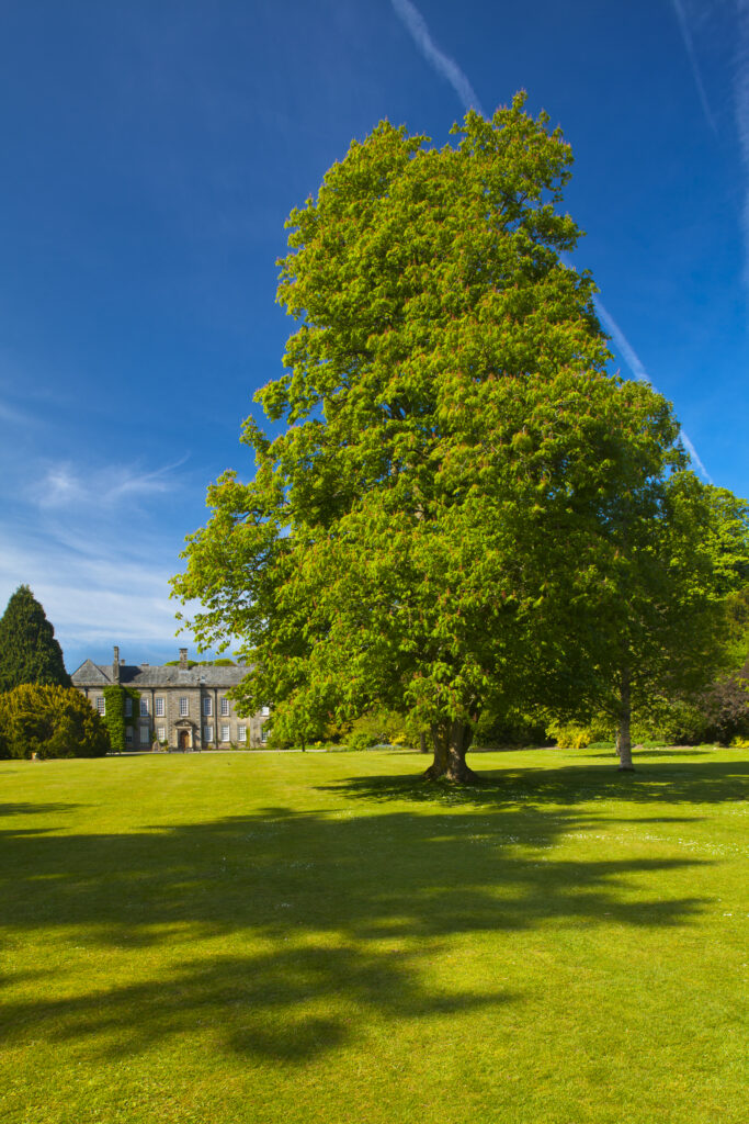 England. Northumberland, Wallington Hall.