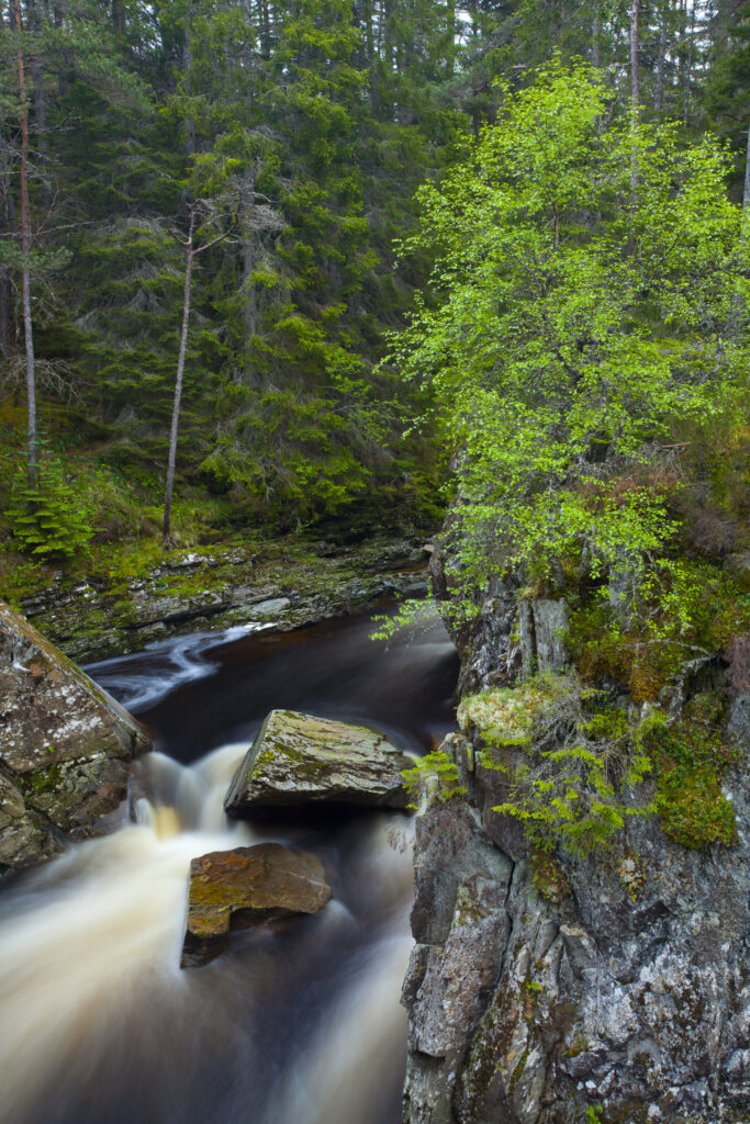 Scotland, Scottish Highlands, Laggan.