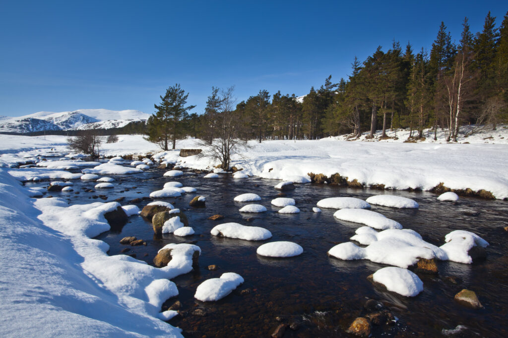 Scotland, Scottish Highlands, Cairngorms National Park.