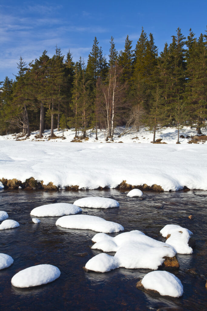 Scotland, Scottish Highlands, Cairngorms National Park.