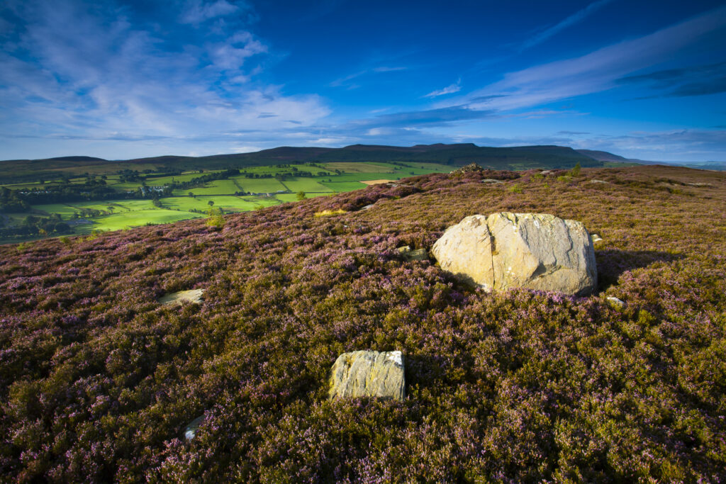 England, Northumberland, Rothbury.