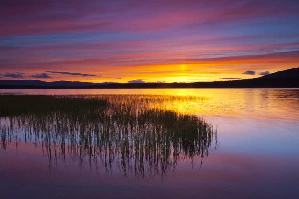 Scotland, Scottish Highlands, Cairngorms National Park.