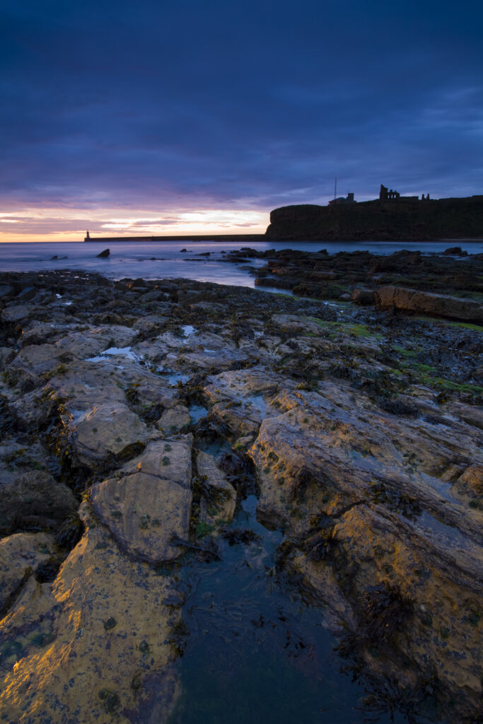 England, Tyne and Wear, Tynemouth.