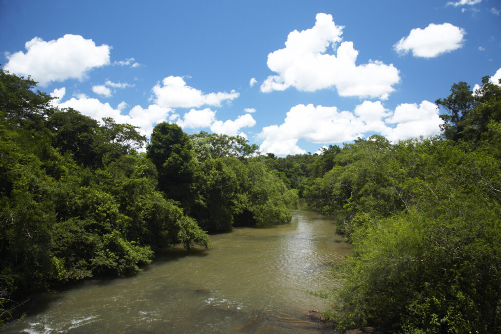 Argentina, Misiones, Iguazu National Park. River and jungle near the Iguazu waterfalls – A world heritage site.