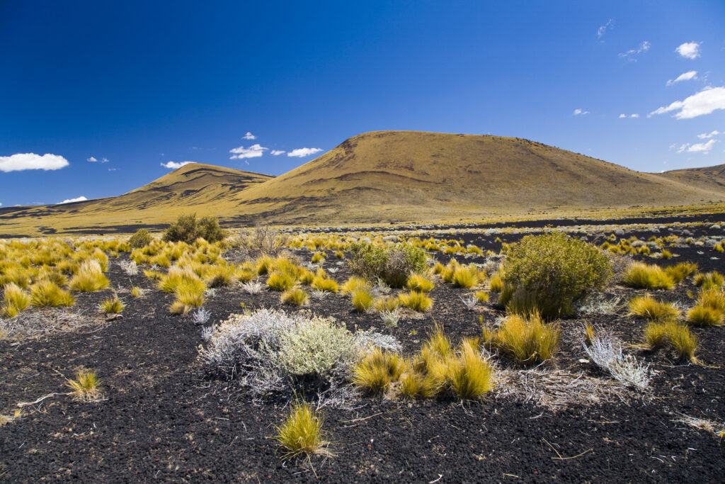 Argentina, Mendoza, Parque Provincial Payunia.
