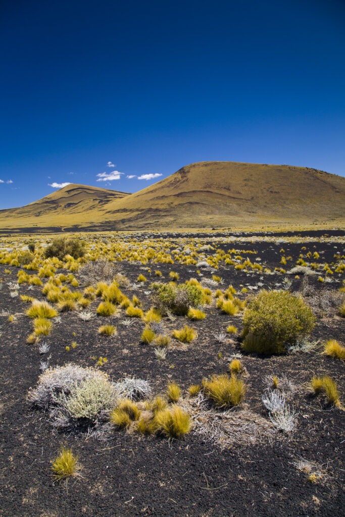 Argentina, Mendoza, Parque Provincial Payunia.