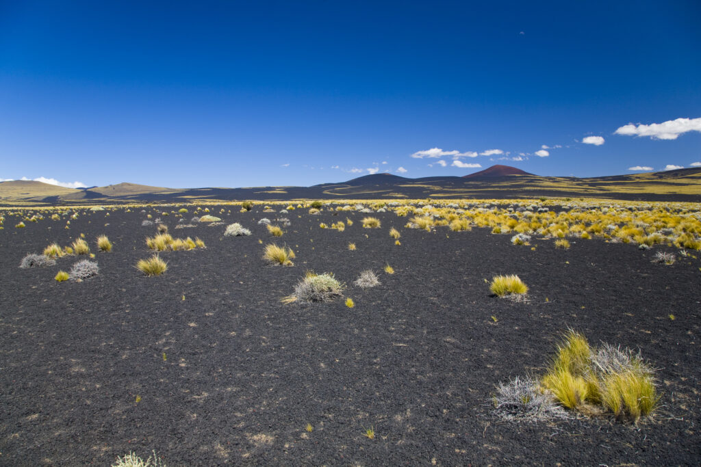 Argentina, Mendoza, Parque Provincial Payunia.
