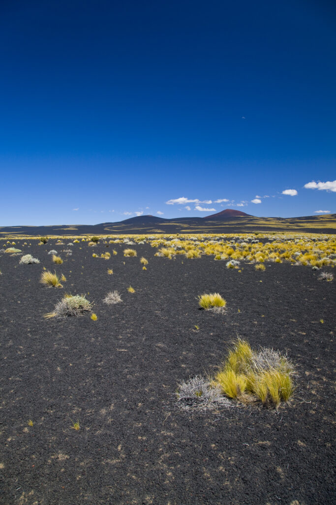 Argentina, Mendoza, Parque Provincial Payunia.