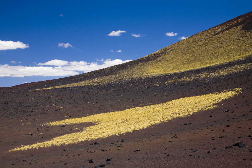 Argentina, Mendoza, Parque Provincial Payunia.