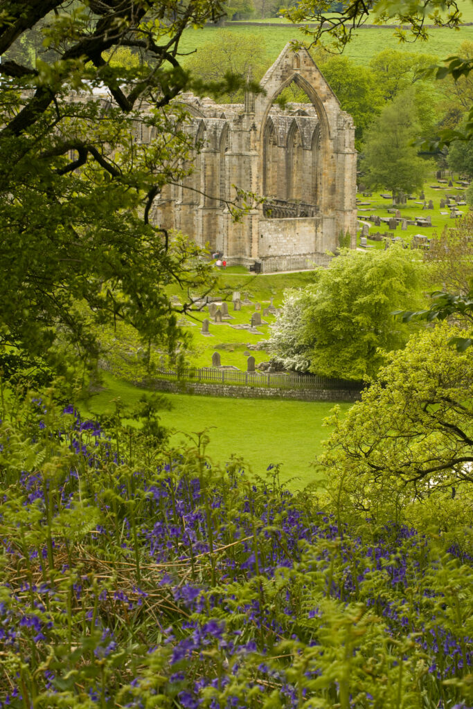 England, Yorkshire, Yorkshire Dales National Park.