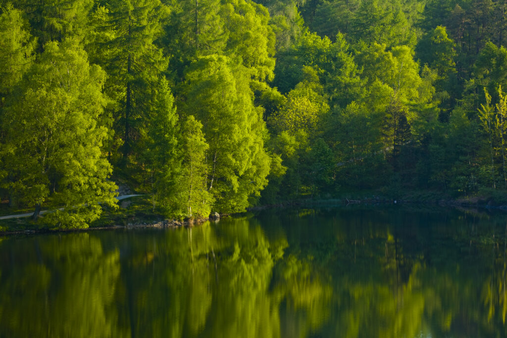 England, Cumbria, Lake District National Park.