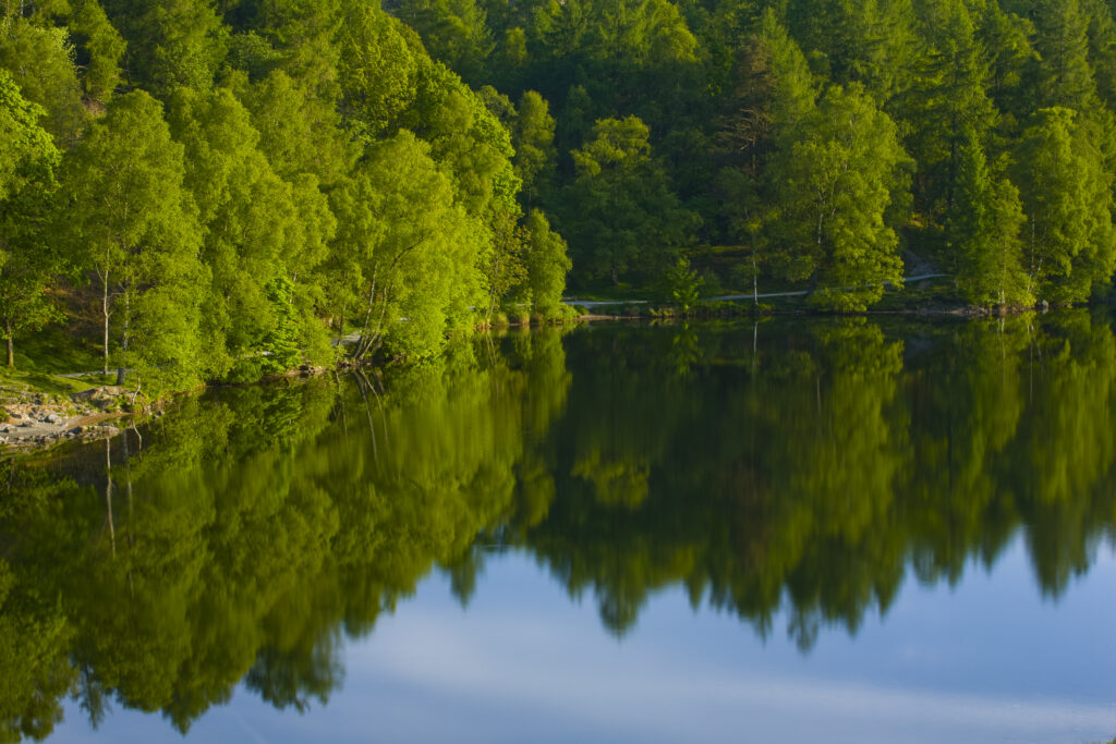 England, Cumbria, Lake District National Park.