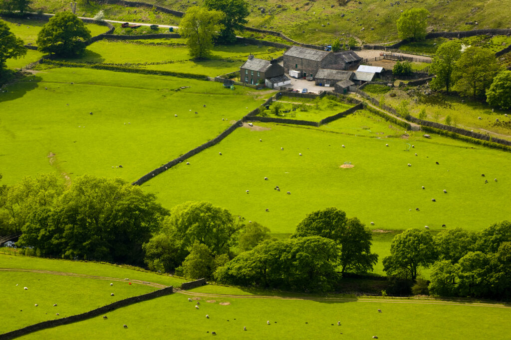 England, Cumbria, Lake District National Park.