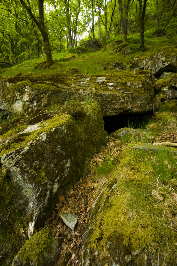 England, Cumbria, Lake District National Park.