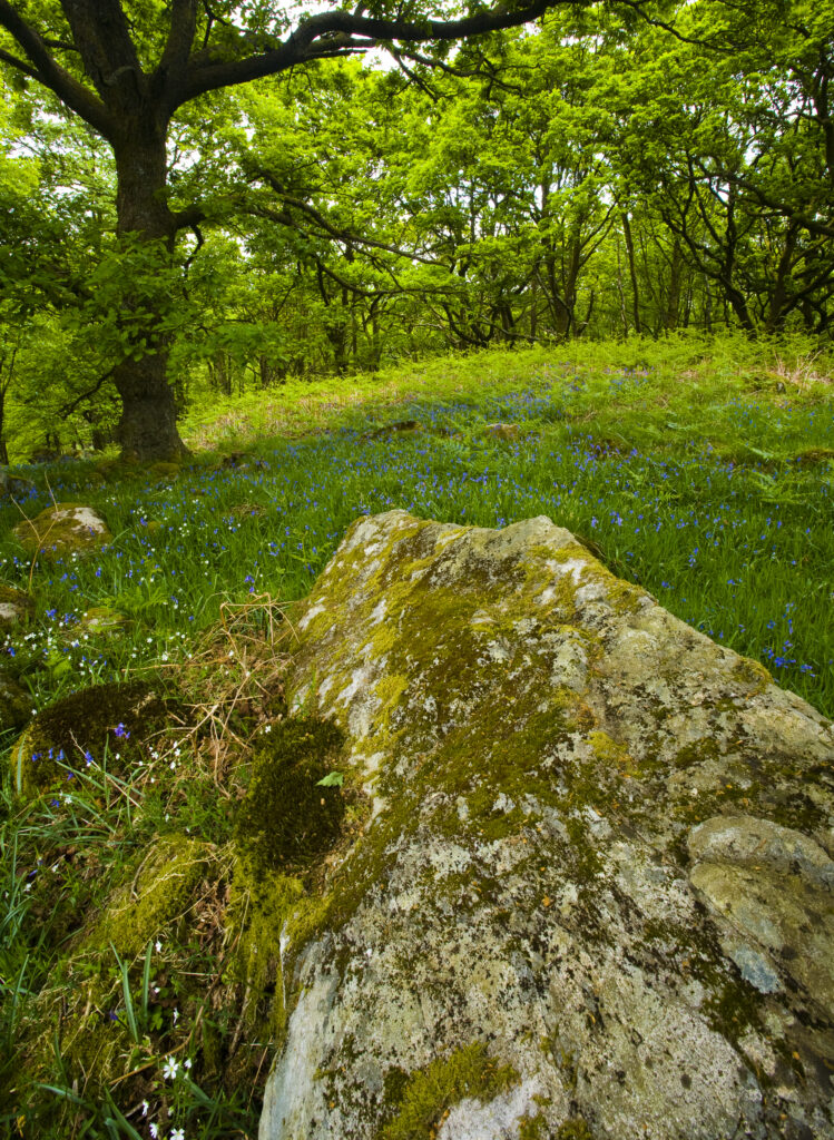 England, Cumbria, Lake District National Park.
