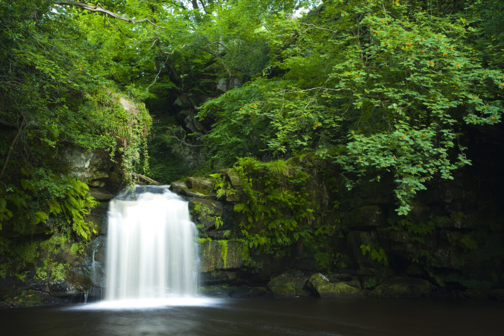 England, North Yorkshire, North York Moors National Park.