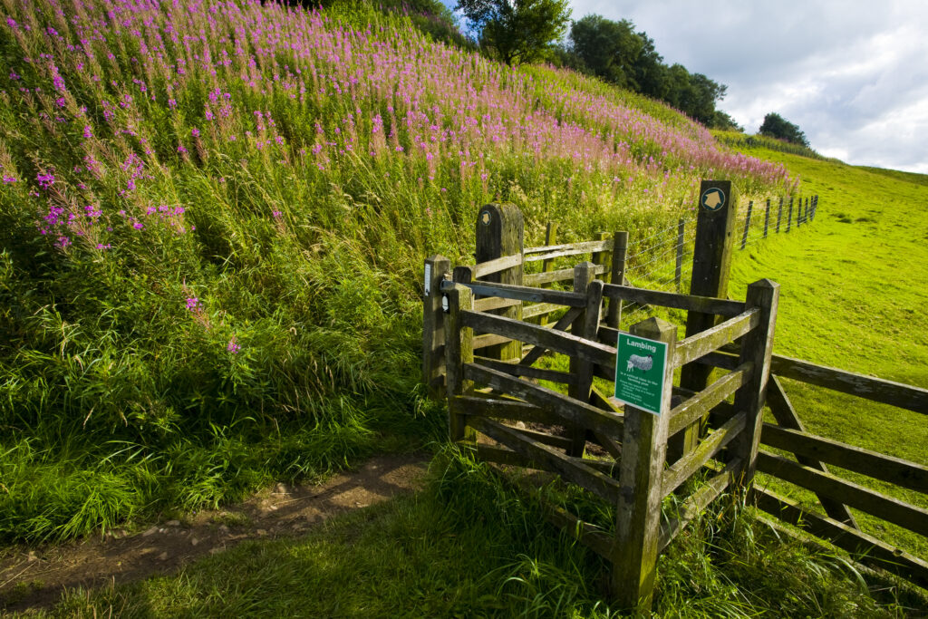 England, Cumbria, Gilsland.