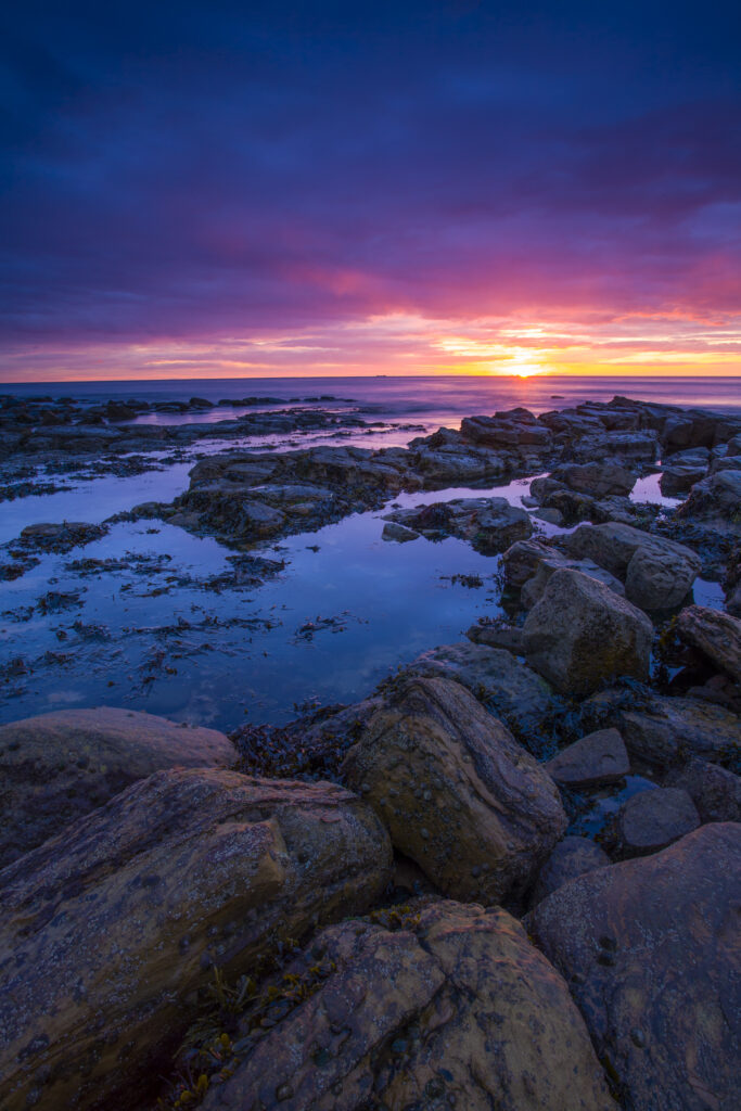 England, Tyne and Wear, Tynemouth.