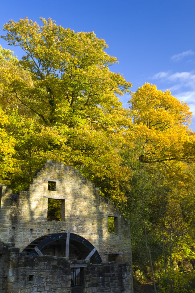 England, Tyne & Wear, Jesmond Dene.