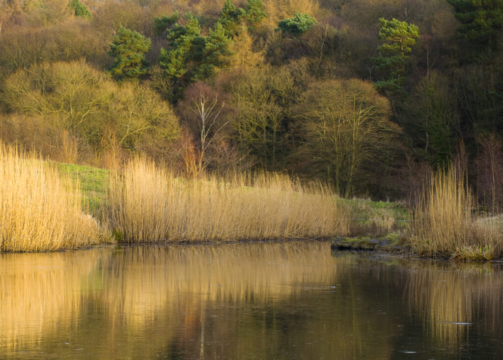 England, Tyne & Wear, Derwenthaugh Park.