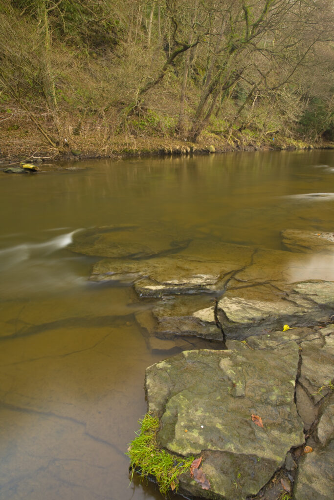 England, Tyne & Wear, Derwent Walk Country Park.