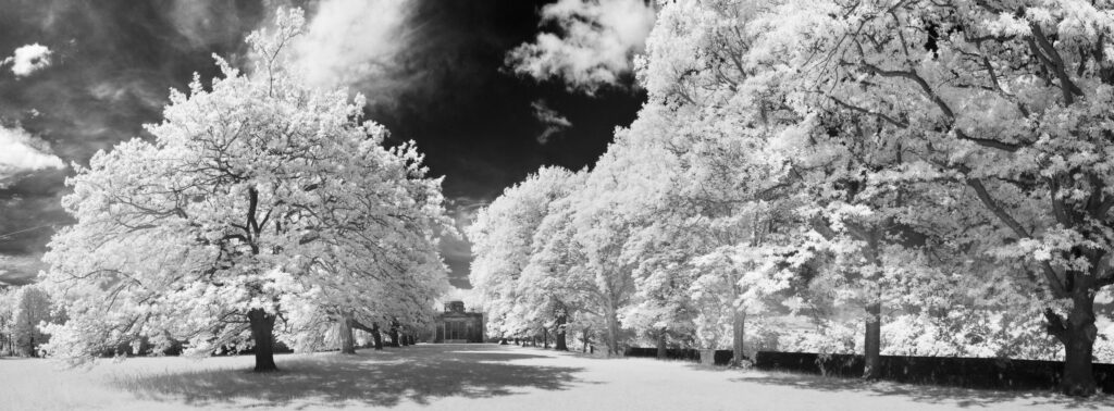 England, Tyne and Wear, Gibside.
