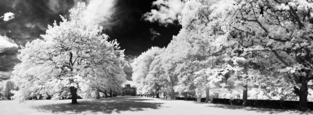 England, Tyne and Wear, Gibside.