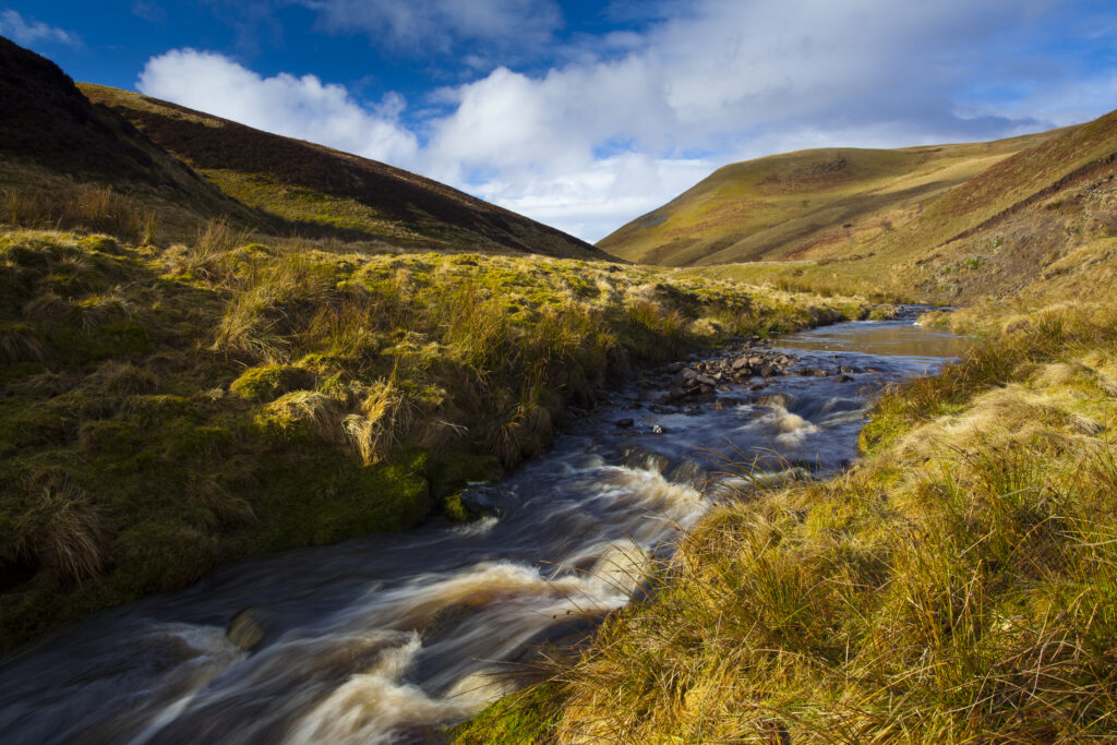 England, Northumberland, Northumberland National Park.