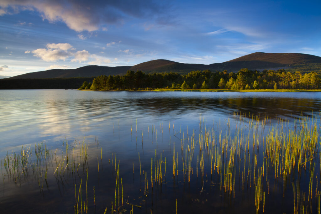 Scotland, Scottish Highlands, Cairngorms National Park.